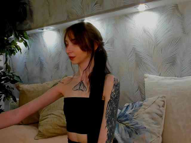 Ellen-Hops webcam