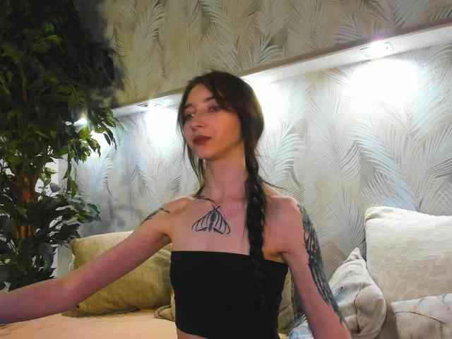 Ellen-Hops webcam