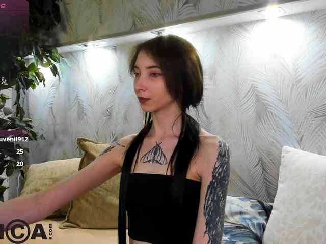 Ellen-Hops webcam