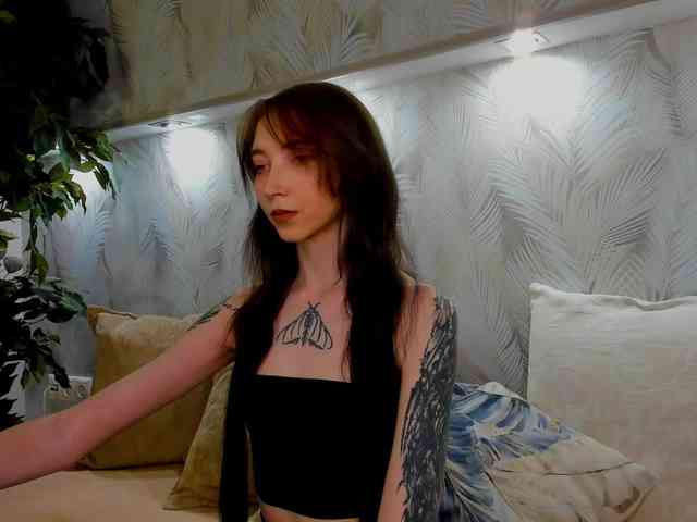 Ellen-Hops webcam