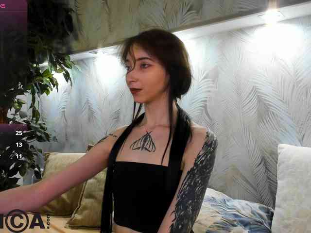 Ellen-Hops webcam