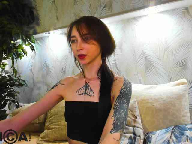 Ellen-Hops webcam