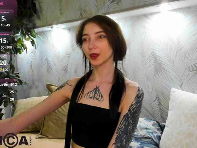 Ellen-Hops webcam
