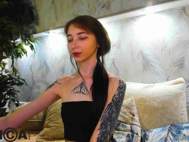 Ellen-Hops webcam