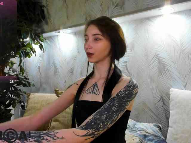 Ellen-Hops webcam