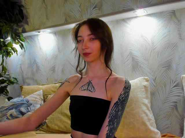 Ellen-Hops webcam