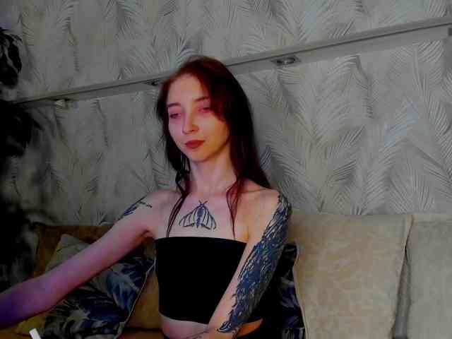 Ellen-Hops webcam