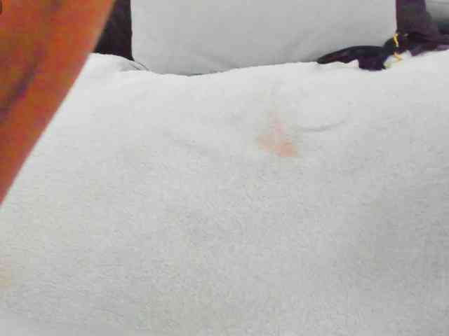 AlicyaOccean webcam