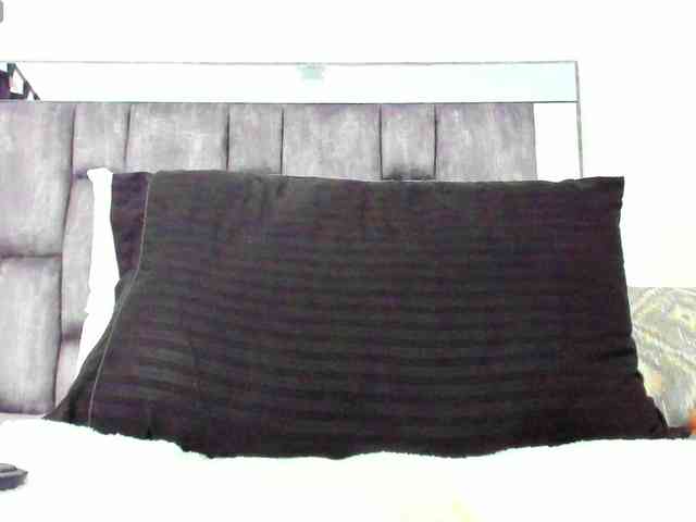 AlicyaOccean webcam