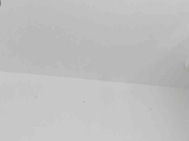 AlicyaOccean webcam