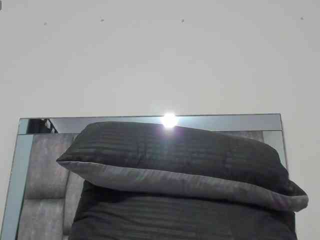 AlicyaOccean webcam