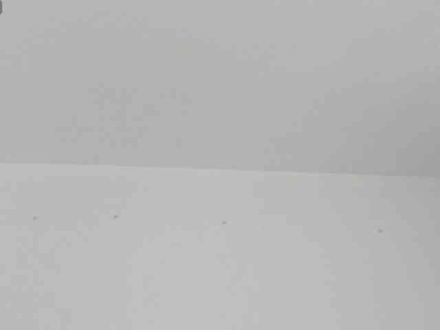 AlicyaOccean webcam