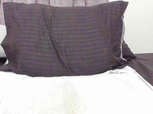 AlicyaOccean webcam