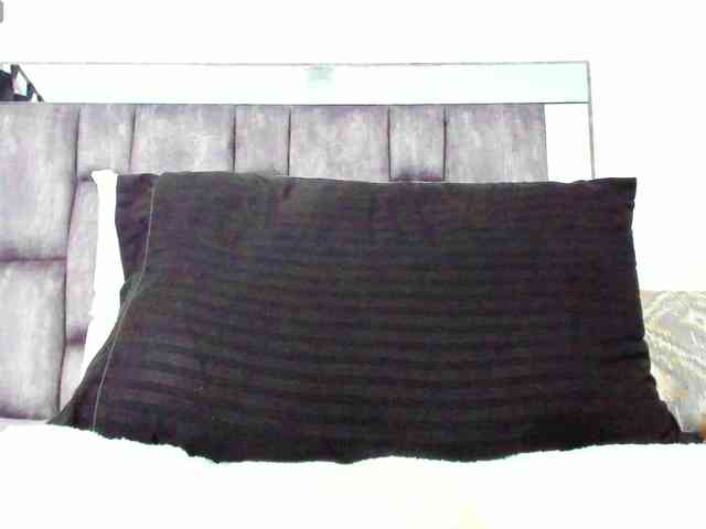 AlicyaOccean webcam