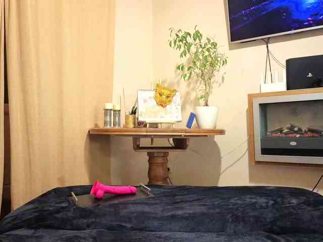 Модель: Alisa-001