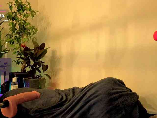 Alisa-001 webcam
