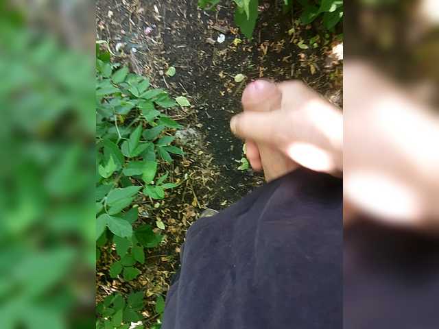 Slyhaa