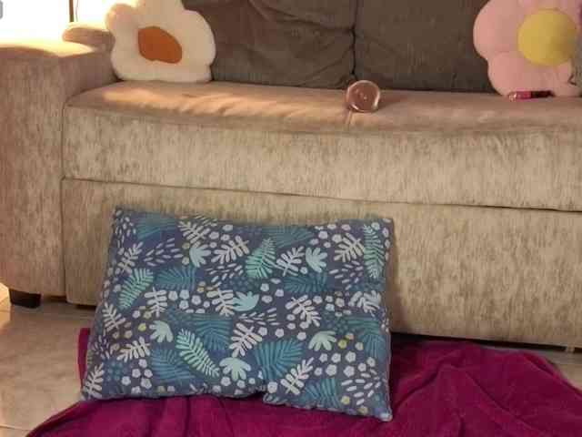 hannybunny webcam