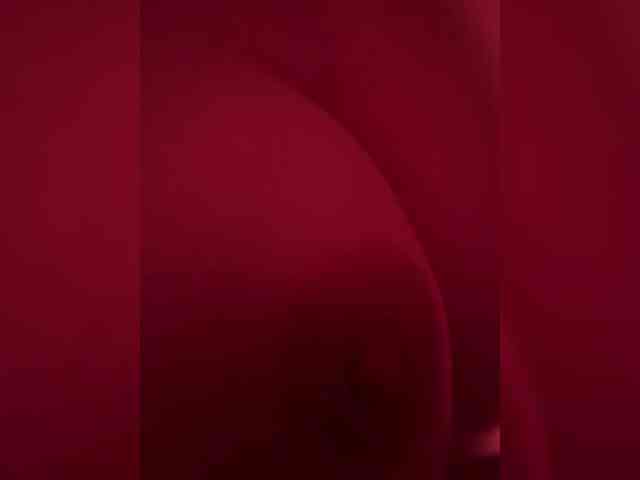 Arxip webcam