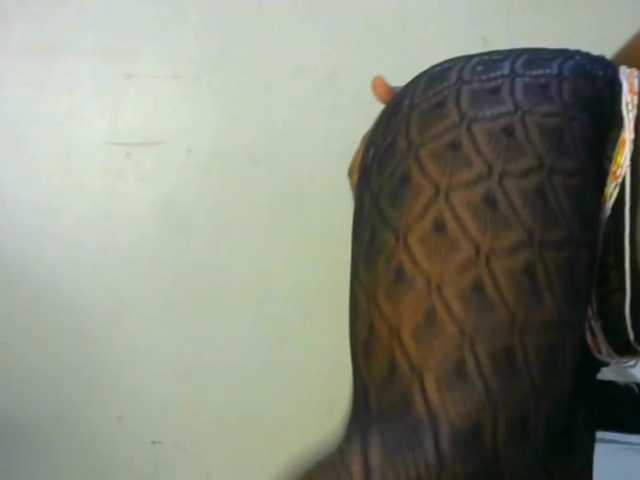 candychic live cam on BongaCams
