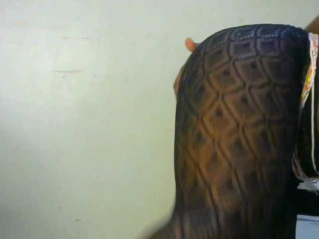 candychic live cam on BongaCams