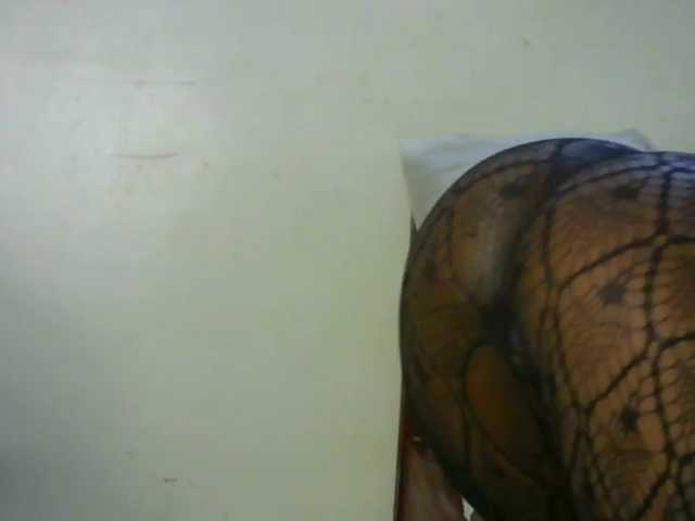 candychic live cam on BongaCams