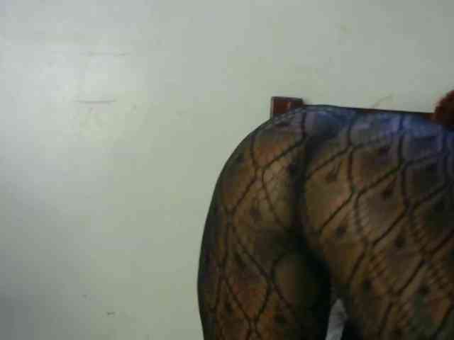 candychic webcam