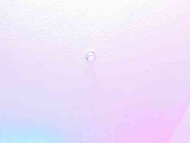 Saamii-robertss01 webcam