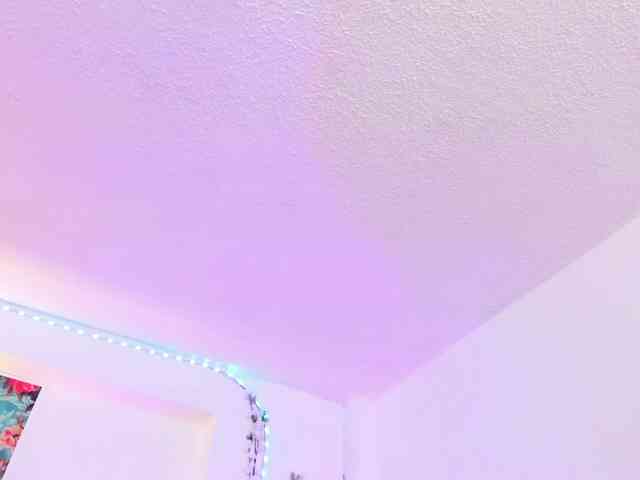 Saamii-robertss01 webcam