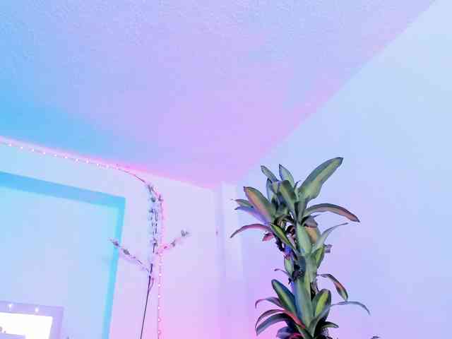 Saamii-robertss01 webcam