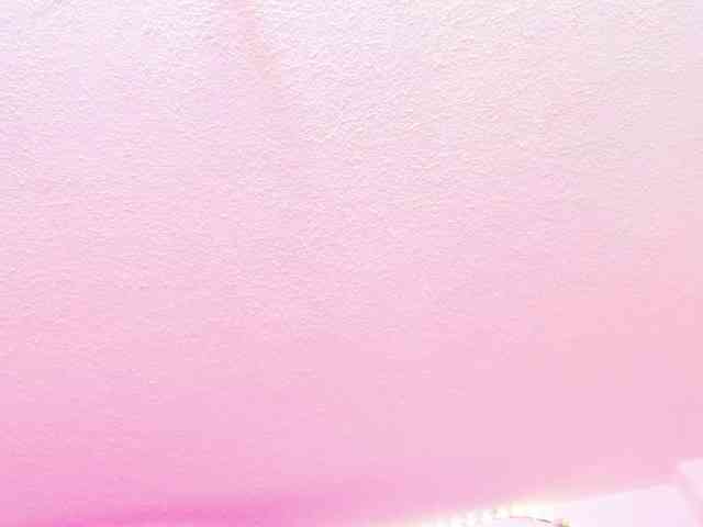 Saamii-robertss01