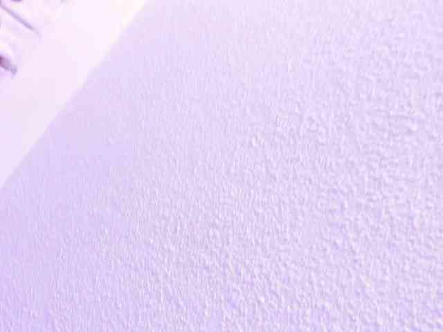 Saamii-robertss01 webcam