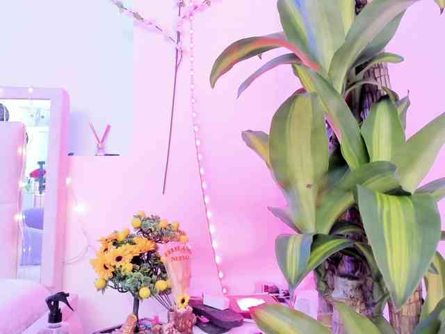 Saamii-robertss01 webcam