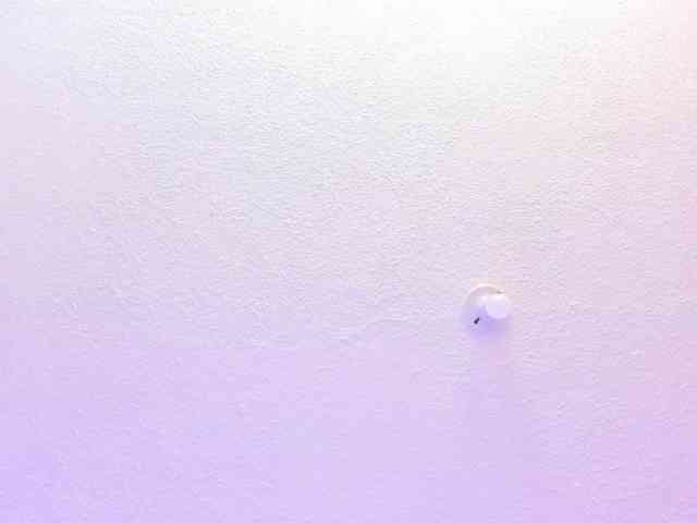 Saamii-robertss01 webcam