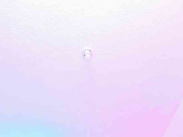 Saamii-robertss01 webcam