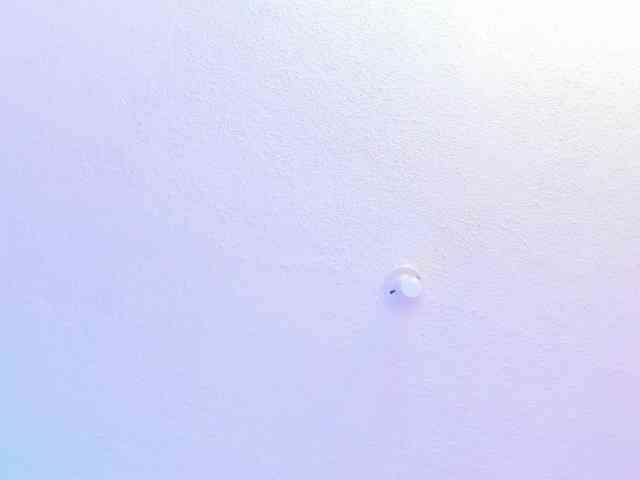 Saamii-robertss01 webcam