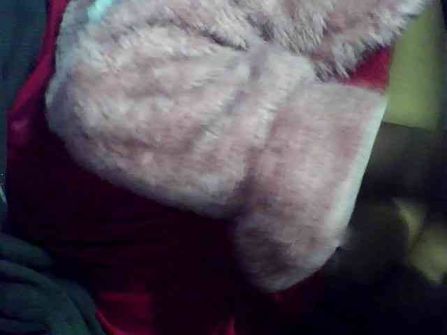 Carennehot2