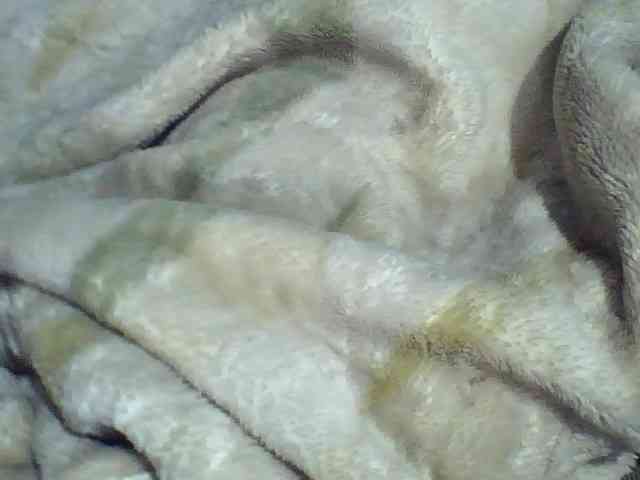 Carennehot2 webcam