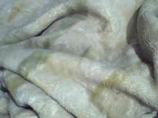 Carennehot2 webcam