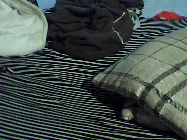 Carennehot2 webcam