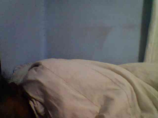 Carennehot2 webcam