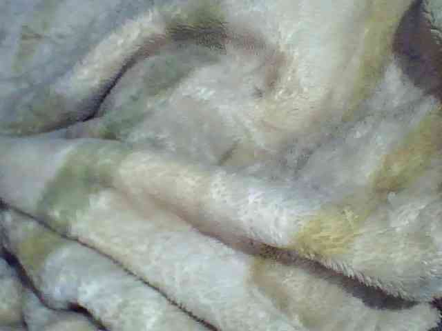 Carennehot2 webcam