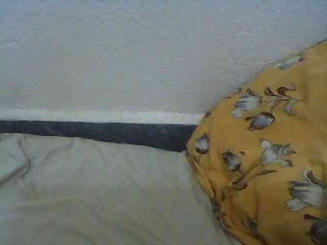 Carennehot2