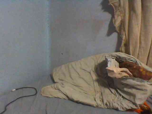 Carennehot2 Carennehot2