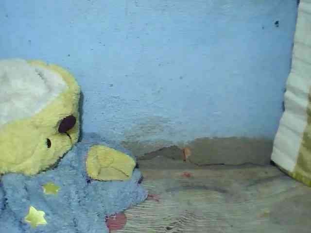 Carennehot2 Carennehot2