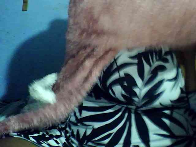 Carennehot2 webcam