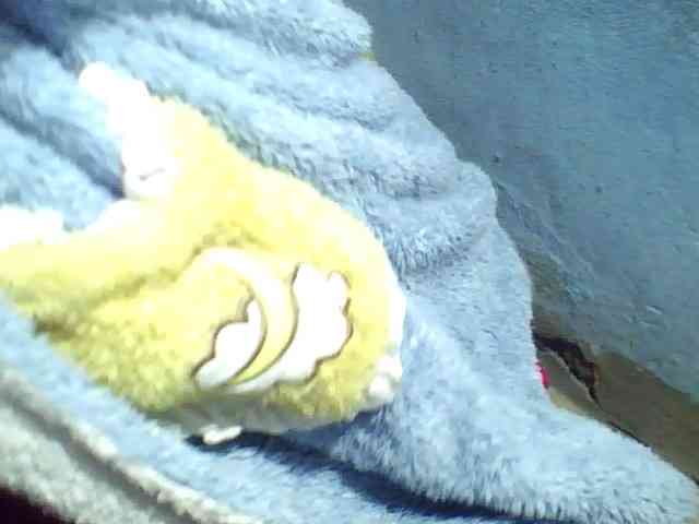 Carennehot2 webcam