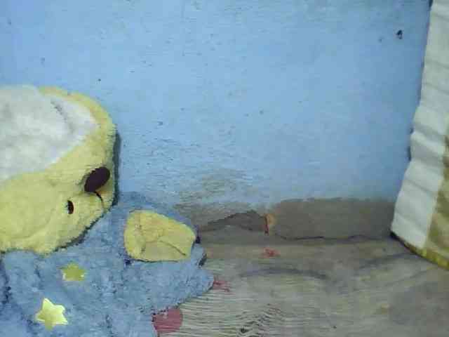 Carennehot2 webcam