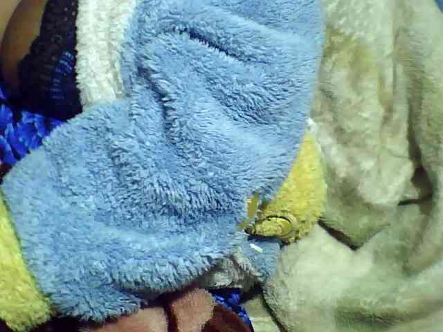 Carennehot2 webcam