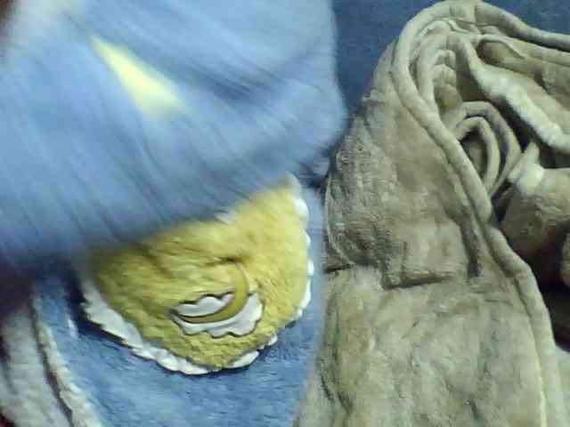 Carennehot2 webcam